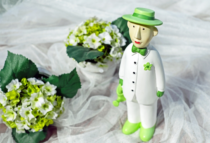 boutique-LA SEYNE SUR MER-min_man-person-flower-green-toy-fig-546529-pxhere.com